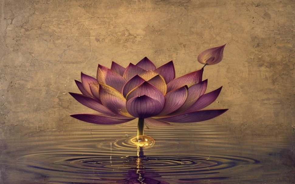Karuna Reiki & Crystal Healing